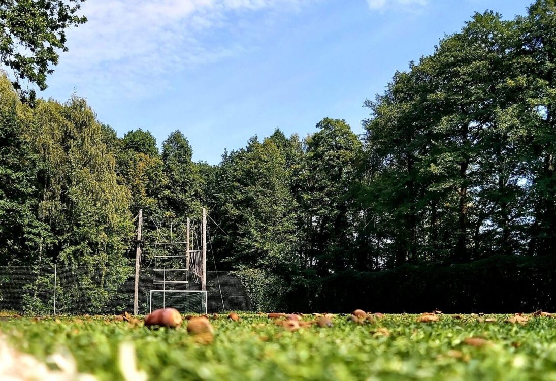 Ein Fußballplatz liegt ganz nah an den Bäumen und bietet einen Blick auf den Hochseilgarten.